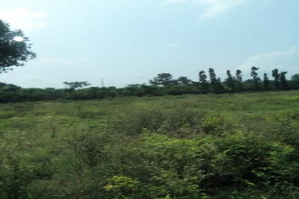 Langha Road (1).jpg
